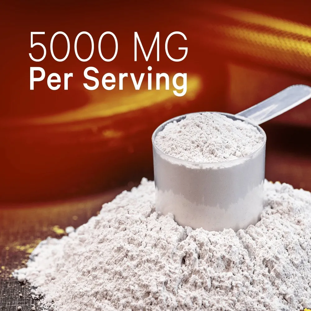 Codeage Creatine Monohydrate Powder Supplement