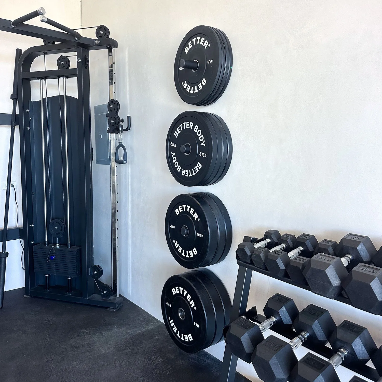 Wall Mounted Plate Storage, Single   Double